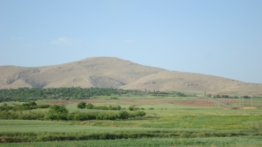 نمای دور از باغات کرسف